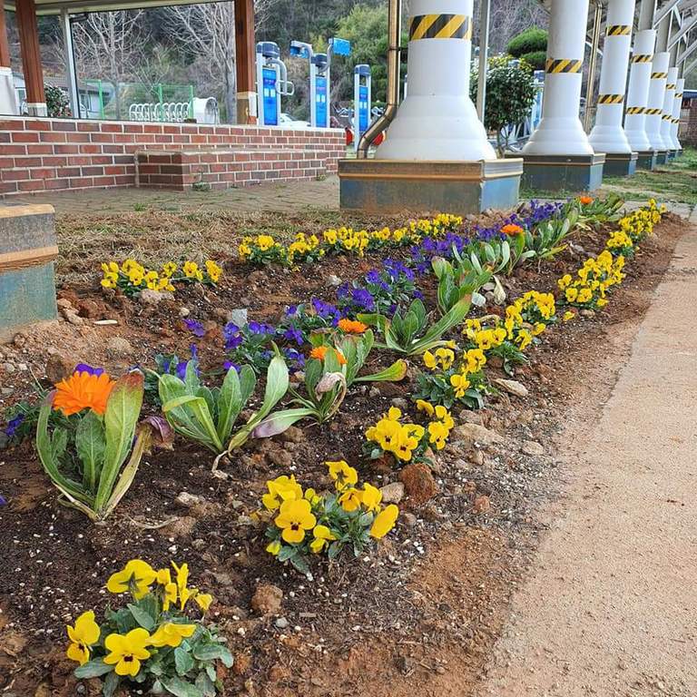 소라종합사회복지관 꽃밭 조성