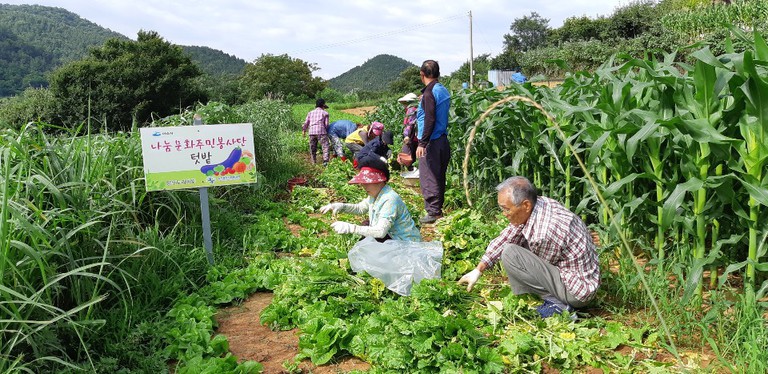 나눔문화주민봉사단의 행복반찬나눔